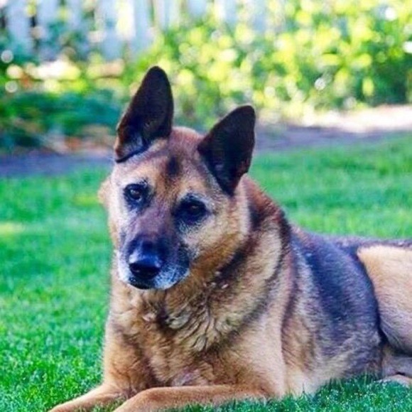 Meet your Posher, Connie - Picture 1 of 1